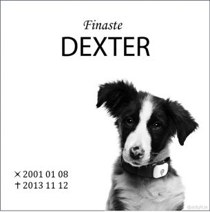 Gravsten hund Finaste Dexter