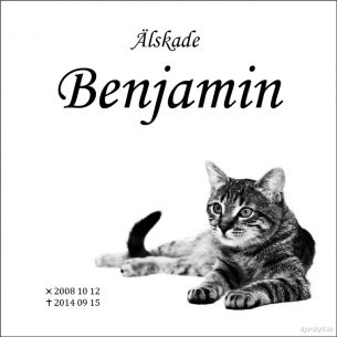 Gravsten katt Älskade Benjamin