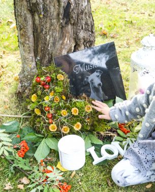 Flicka lägger blommor på gravplats hund lykta Love