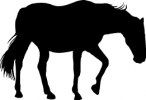 Djurskylt silhuett Häst 10