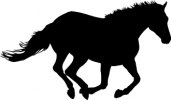 Djurskylt silhuett Häst 22