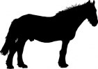 Djurskylt silhuett Häst 3